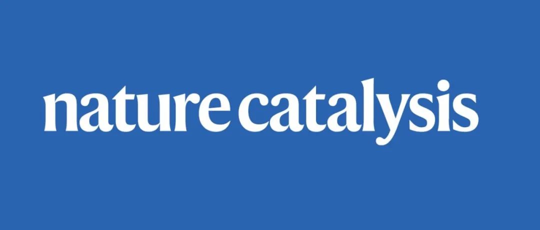 大连化物所，最新Nature Catalysis！