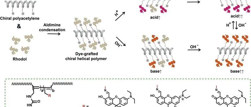 Angew. Chem. Int. Ed.|由酸和碱驱动的染料接枝螺旋聚合物薄膜的多重手性切换
