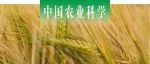 中国农业科学 |  甘肃农业大学联合中国农科院作科所探析小麦烯醇化酶基因TaENO1-5B在多种环境下对株高与穗粒数的调控