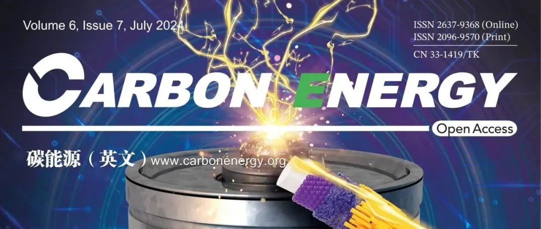 孙学良院士&肖必威教授Carbon Energy综述：低温Na离子电池