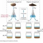 Functional Ecology | 有机管理通过增加微生物组多样性和功能改善了再定殖土壤的多功能性