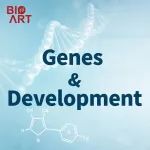 Gene & Dev丨潘多加课题组鉴定一条新的肿瘤抑制信号通路