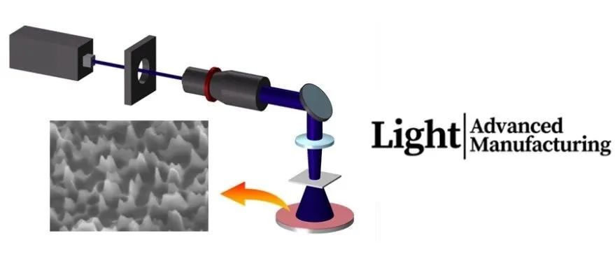 Light Adv. Manuf. | 激光散斑灰度光刻：制造高灵敏度柔性电容式压力传感器的新手段