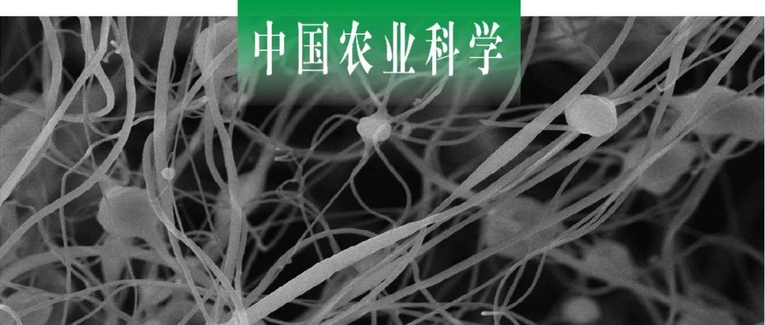 中国农业科学 | 中国农业科学院烟草研究所研制氟吡菌酰胺纳米纤维剂并评价其对南方根结线虫的生物活性