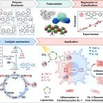 化学所王树/白昊天JACS：用于光催化 CO2 还原的共轭聚合物的合理设计：实现局部 CO 生成和巨噬细胞极化