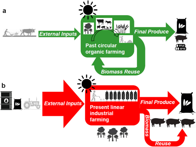 Assessing the energy trap of industrial agriculture in North America and Europe: 82 balances from 1830 to 2012