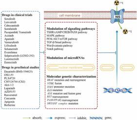 Radioiodine-refractory differentiated thyroid cancer: Molecular mechanisms and therapeutic strategies for radioiodine resistance