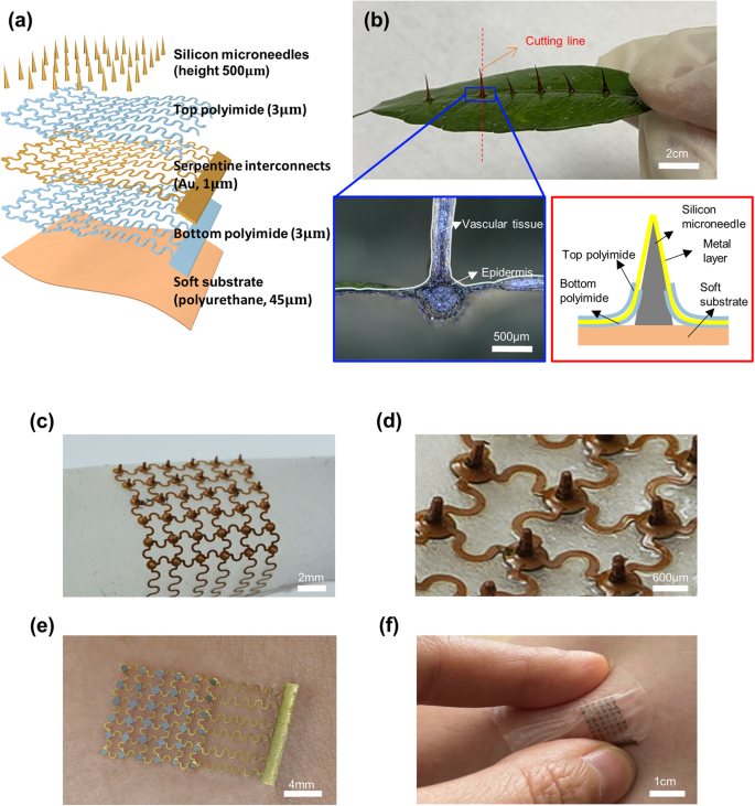 Skin-integrated, biocompatible, and stretchable silicon microneedle electrode for long-term EMG monitoring in motion scenario