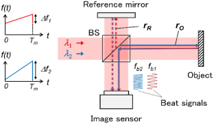 Two-wavelength digital holography using frequency-modulated continuous-wave technique for multiplexing in the time–frequency domain