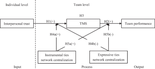 From Interpersonal Trust to Team Performance in App Design: Roles of Transactive Memory Systems and Social Ties