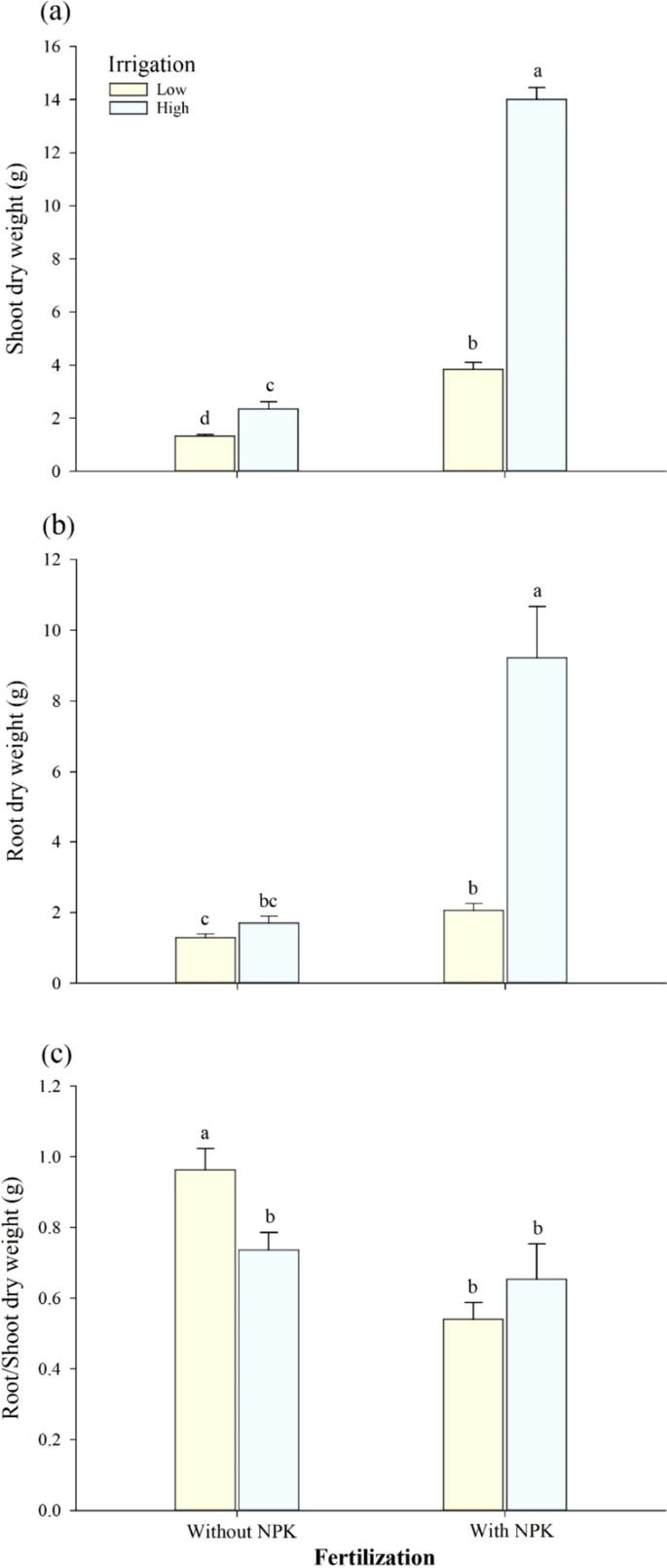 The emerging evidence on the association between symptoms of ADHD and gaming disorder: A systematic review and meta-analysis