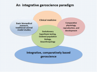 Understanding gender disproportion and influences on subject choice in Physical Health Education: a British Columbia high school case study