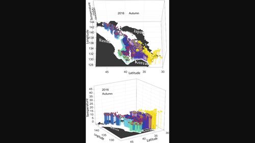 A new way to understand migration routes of oceanic squid (Ommastrephidae) from satellite data